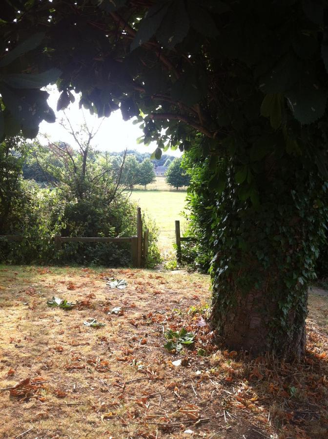 Hotel Bonningtons Stansted Self Catering à Stansted Mountfitchet Chambre photo